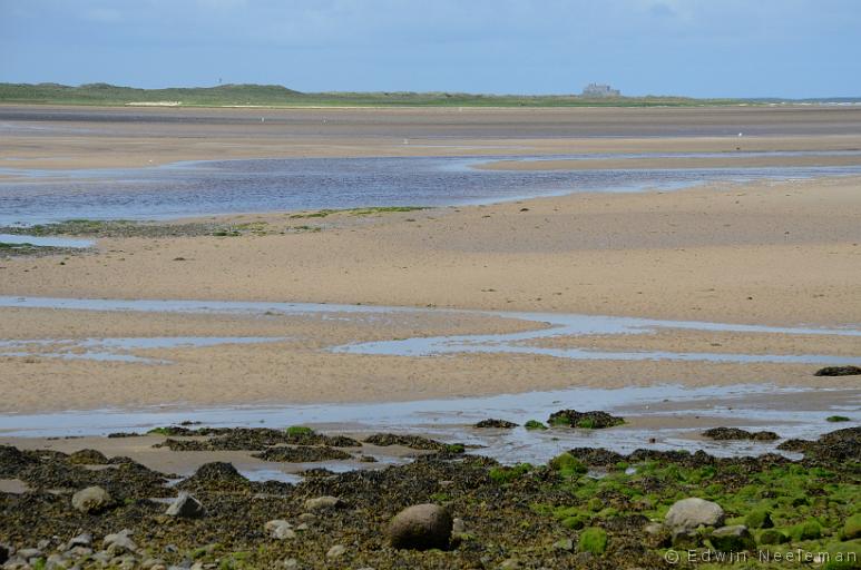 ENE-20120611-0179.jpg - [nl] Budle Bay, Northumberland, Engeland[en] Budle Bay, Northumberland, England